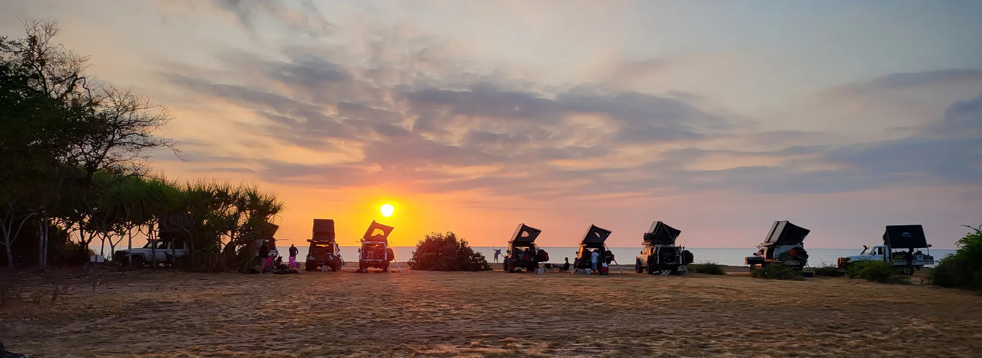 nautra_wildnests_rybnik_newsletter